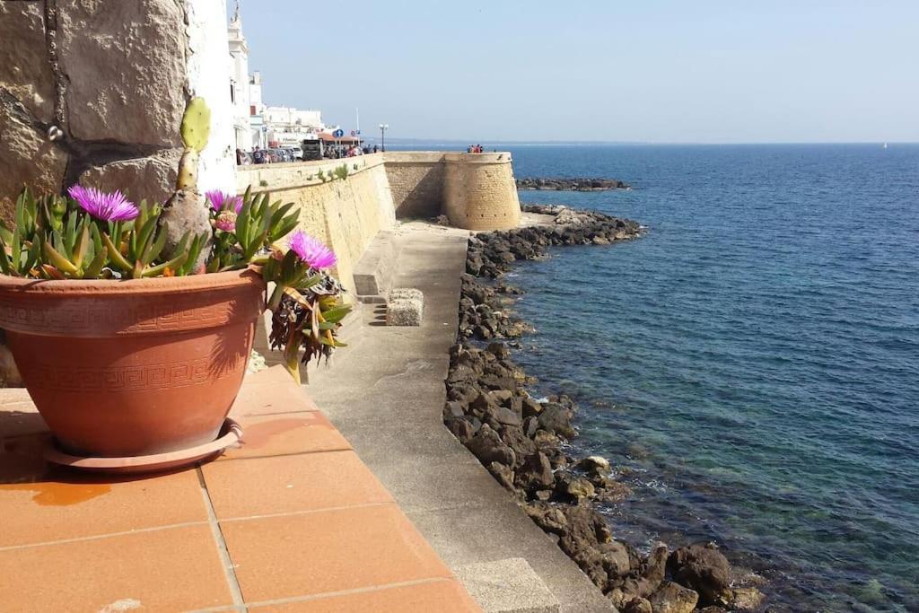 Casa Di Charme Bastioni Gallipoli
